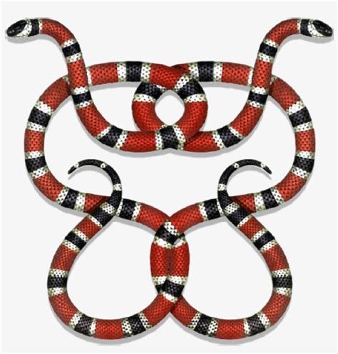 queen bee gucci logo|Gucci logo with snake.